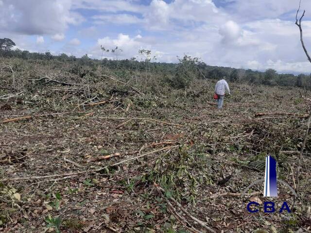 #FZD404 - Chácara para Venda em Paranatinga - MT - 3