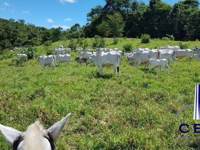 #1611 - Área para Venda em Chapada dos Guimarães - MT - 1